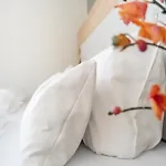 Ambient Zum Schwan Hotel Gelsenkirchen