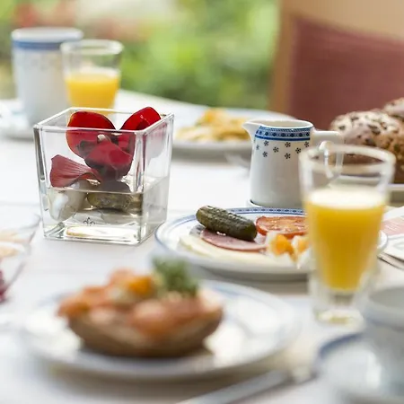 Ambient Zum Schwan Hotel 3*