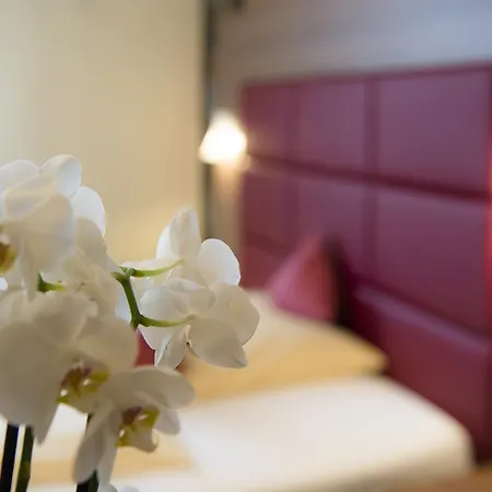 Ambient Zum Schwan Hotel 3*