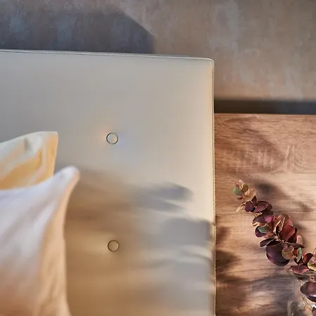 Ambient Zum Schwan Hotel 3*