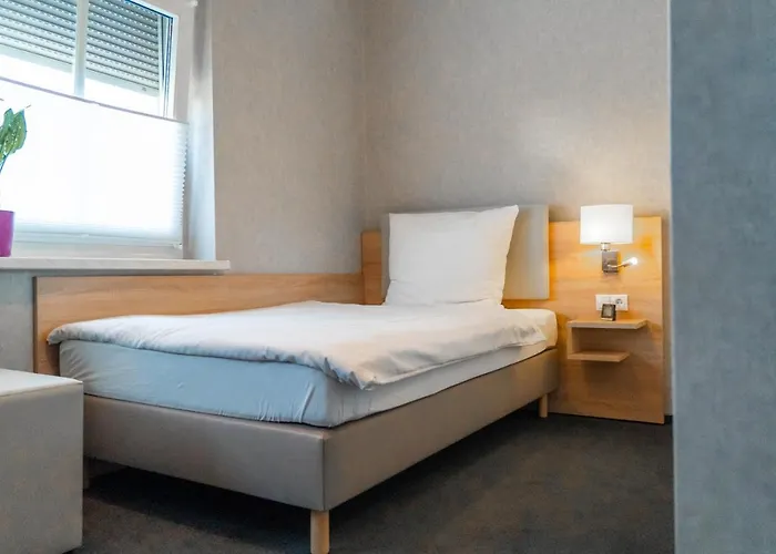 Hotel Ambient Zum Schwan 3*