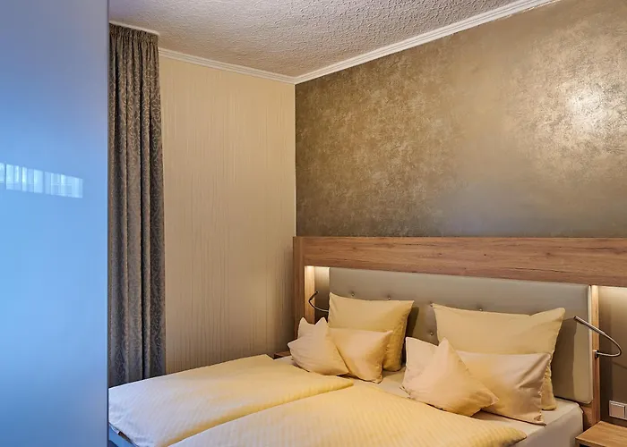 Ambient Zum Schwan Hotel