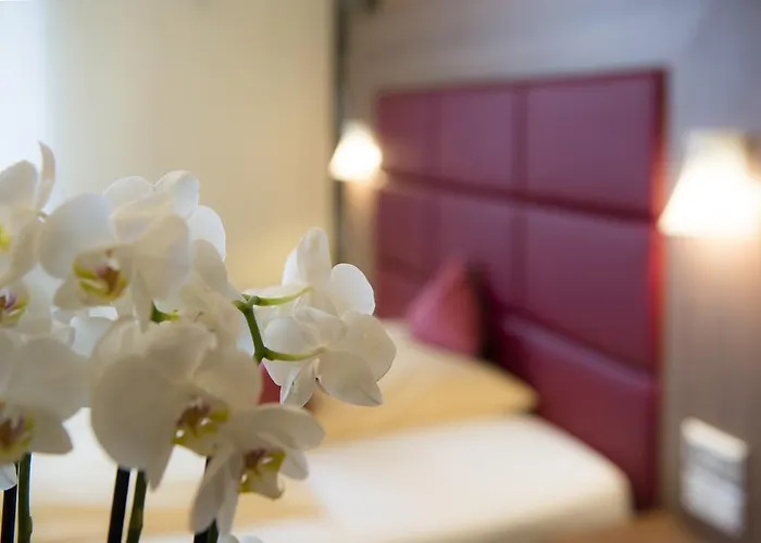 Ambient Zum Schwan Hotel 3*