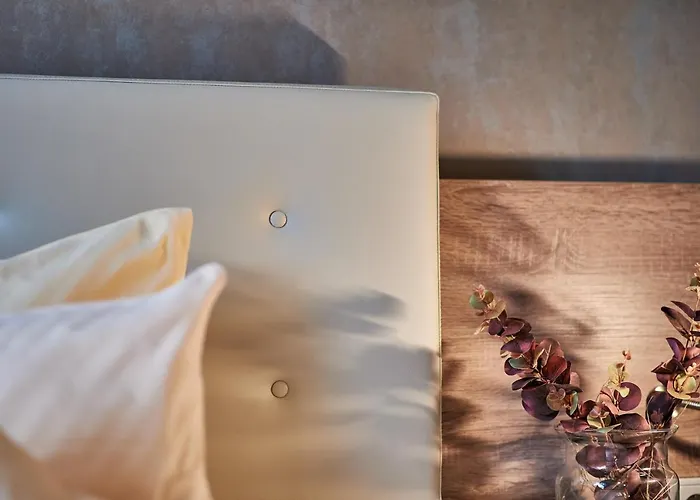 Ambient Zum Schwan Hotel 3*